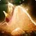 Ashes of Inspiration