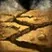 Rumbling Earth