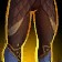 Leggings of the Primal Core