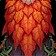 Elder Mossveil