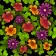 Dancing Dream Blossoms